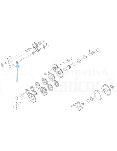 Rodamiento cazoleta eje embrague segadora BCS 11100