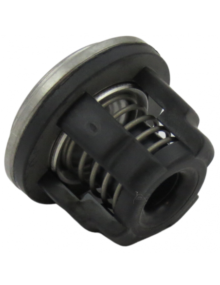 Válvula bomba fumigar  ANNOVI REVERBERI AR 1409050