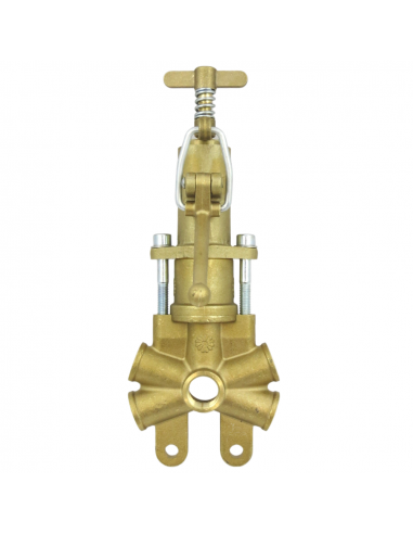 Regulador de presión M.2011 con palmera y taco vulkollan fumigación