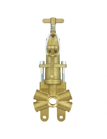 Regulador de presión M.2011 con palmera y taco vulkollan fumigación