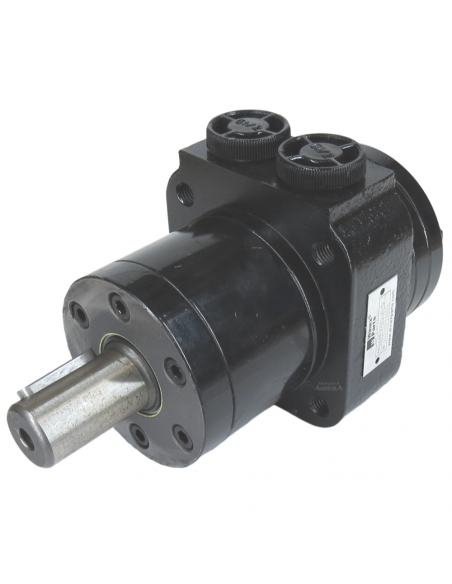 Motor Hidráulico de giro BMPW 50 adaptable Topavi