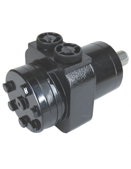 Motor Hidráulico de giro BMPW 50 adaptable Topavi