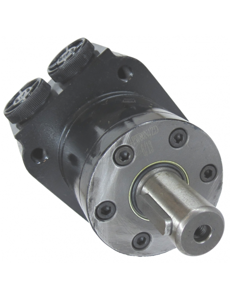 Motor Hidráulico de giro BMPW 50 adaptable Topavi