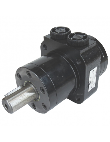 Motor Hidráulico de giro BMPW 125 adaptable Topavi