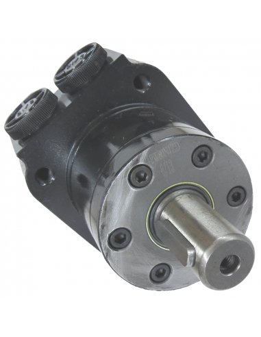 Motor Hidráulico de giro BMPW 125 adaptable Topavi