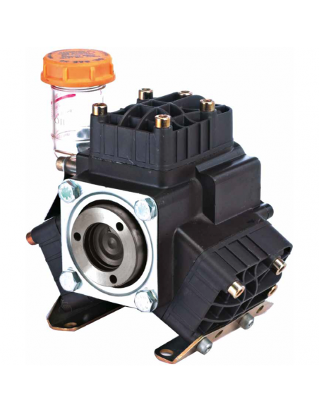 Bomba fumigación Bertolini 34L 40bar