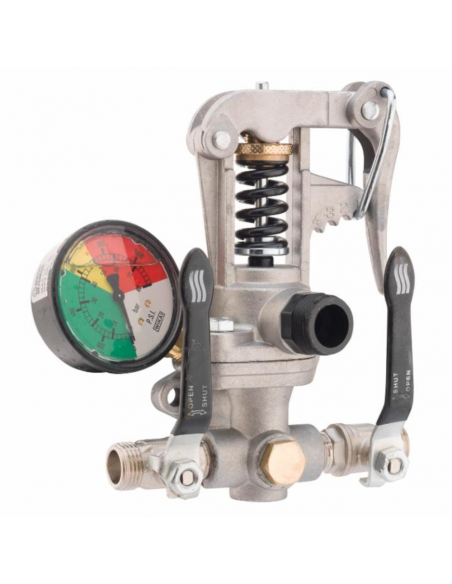 Mando regulador presión 2 vías Annovi Reverberi AR GI 40