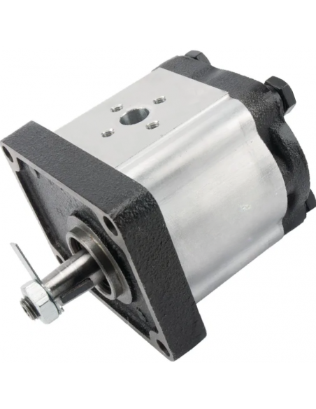 Bomba de elevación 12 cc 5179730