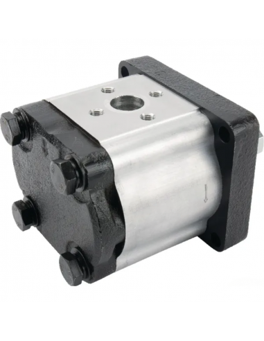 Bomba de elevación 12 cc 5179730