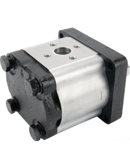 Bomba de elevación 12 cc 5179730