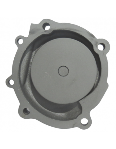 Bomba de Agua Tractor Fiat con Motor Iveco