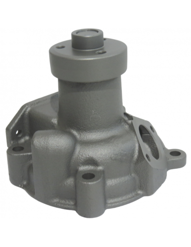 Bomba de Agua Tractor Fiat con Motor Iveco