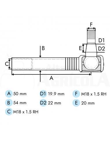 Rótula de la dirección Hembra 54mms CNH y AGCO