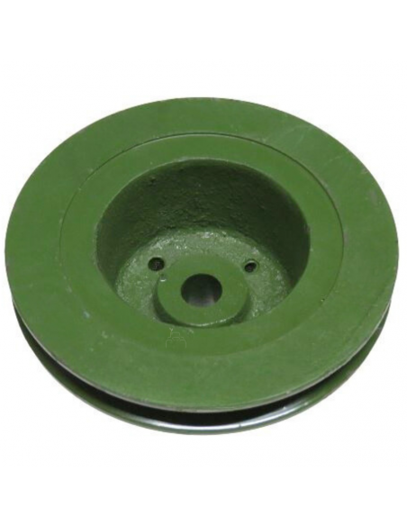Polea bomba de agua 166Mm valido 3152 John Deere