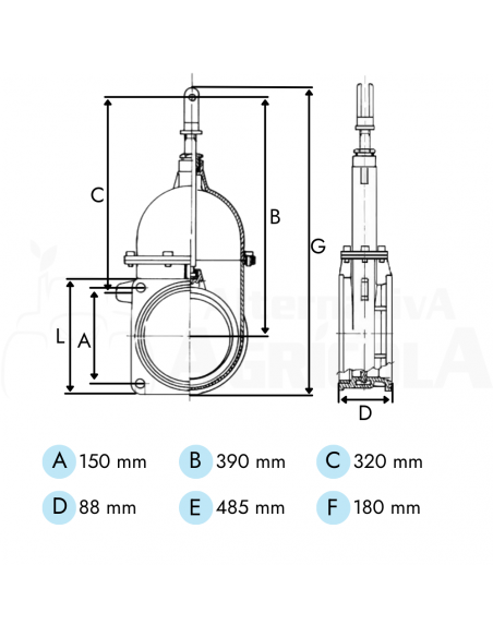 Tajadera 6" 143 mm 1 Brida