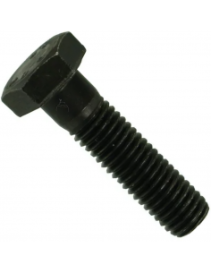 Tornillo de Acero 10x25