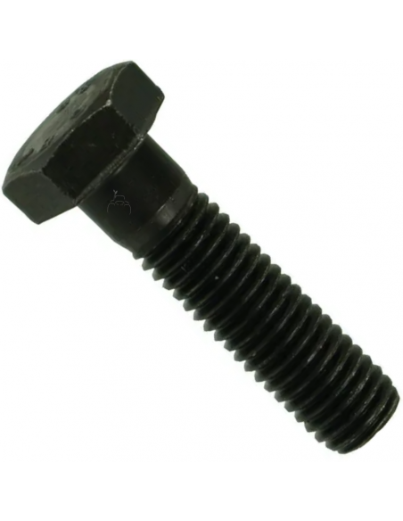 Tornillo de Acero 12x30 Con paso 125