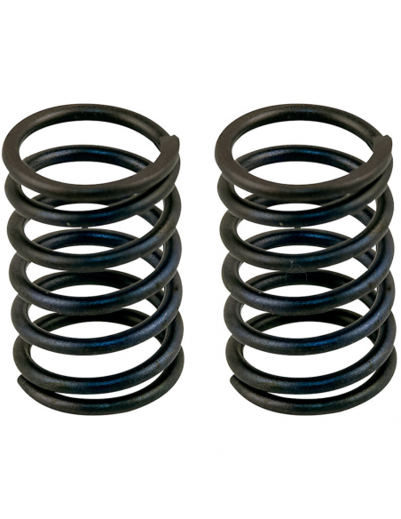 Muelles Válvula OHV-MT-140-160-200 HONDA