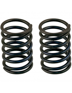 Muelles Válvula OHV-MT-240-270-340-390 HONDA