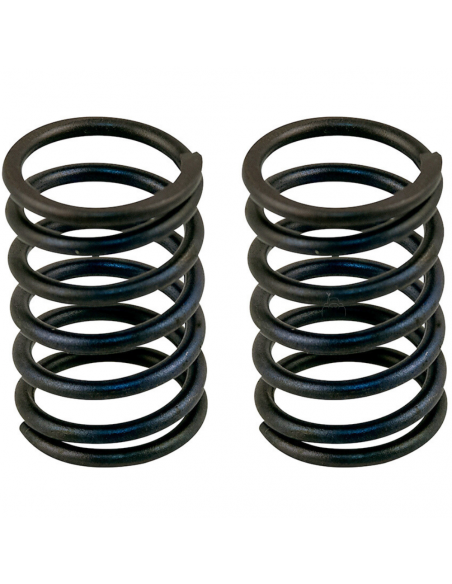 Muelles Válvula OHV-MT-240-270-340-390 HONDA