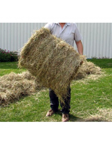 Empacadora Zeppelin balas Ø500-700