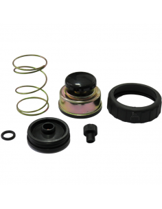 Juego de reparación cebador gasoil tractor John Deere Varios modelos