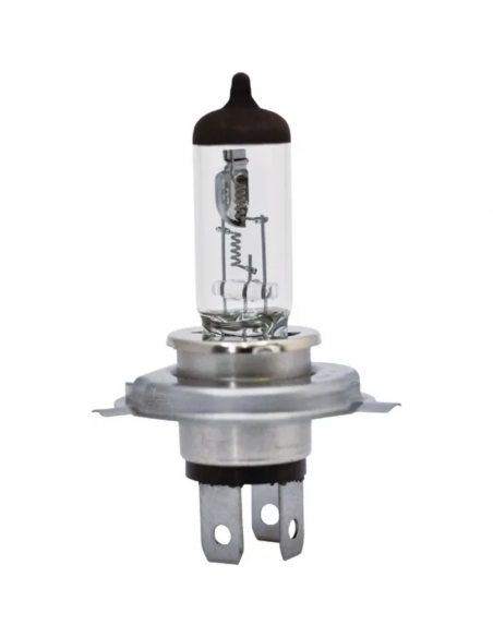 Bombilla Tipo H4 12v 60/55W