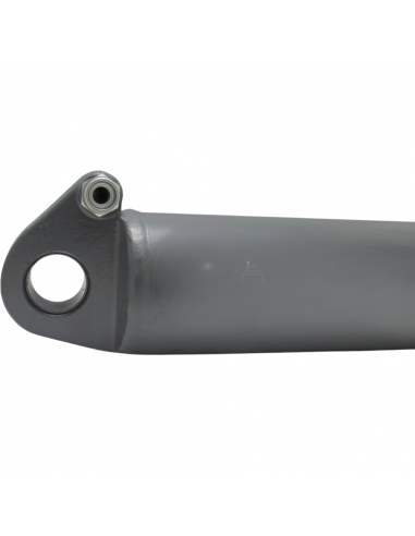 Cilindro de ayuda elevador trasero válido Fendt G916862030010