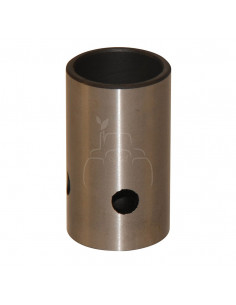 TAQUÉ ÁRBOL DE LEVAS