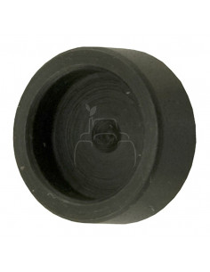 CAPUCHÓN DE VÁLVULA