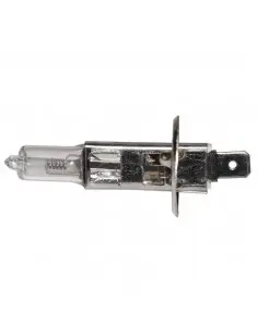 LÁMPARA HALÓGENA 12 V - 55 W - P14.5S - H1