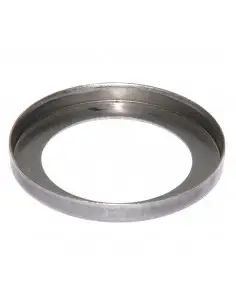 Anillo guardapolvo Fendt 3134217R1