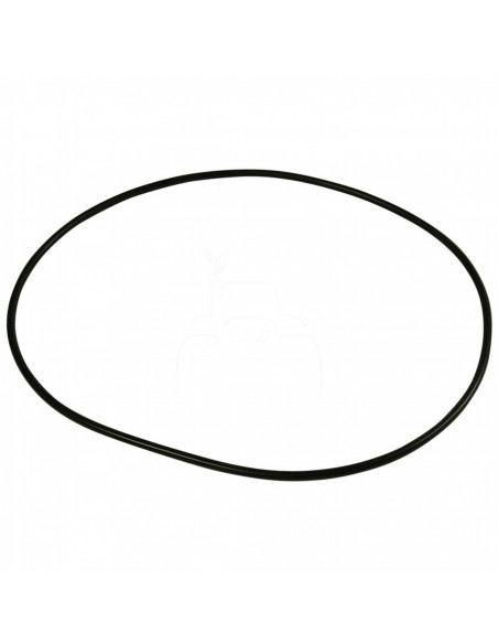 Junta tórica 200 x 4 mm Ford, Case-IH 83934009