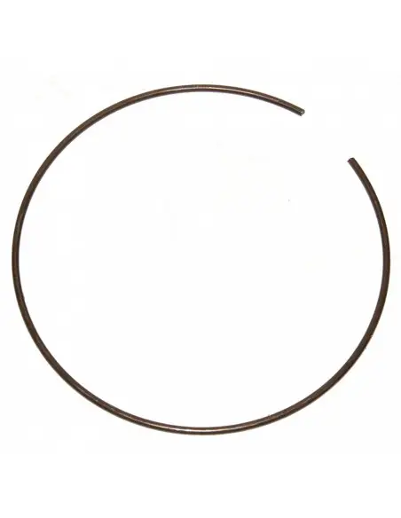 Retén muelle planetario Case-IH, David Bronwn ER125555