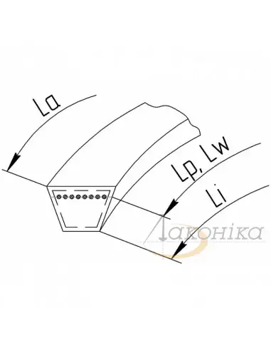 Correa Trapezoidal Elevador de Grano