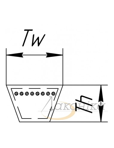 Correa Trapezoidal Elevador de Grano