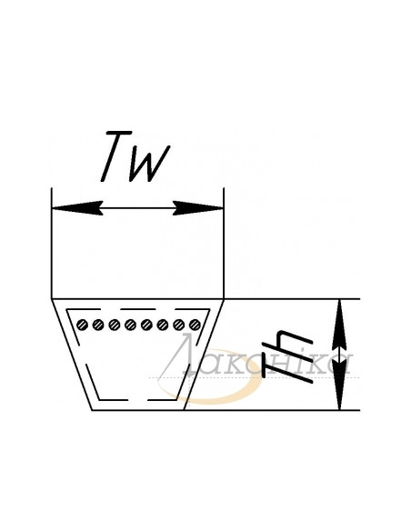 Correa Trapezoidal Elevador de Grano