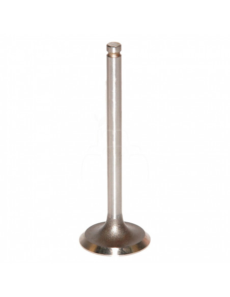 VÁLVULA DE ADMISIÓN