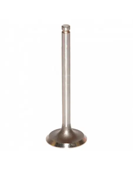 VÁLVULA DE ADMISIÓN