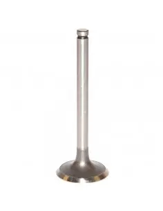 VÁLVULA DE ADMISIÓN