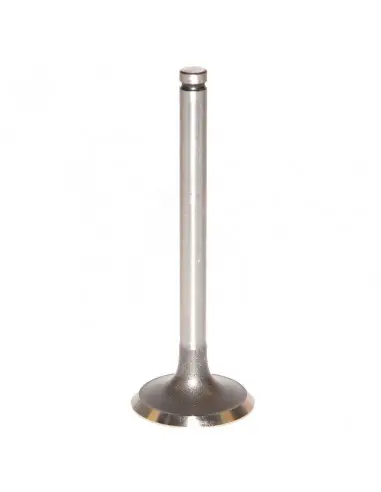 VÁLVULA DE ADMISIÓN