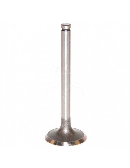 VÁLVULA DE ADMISIÓN