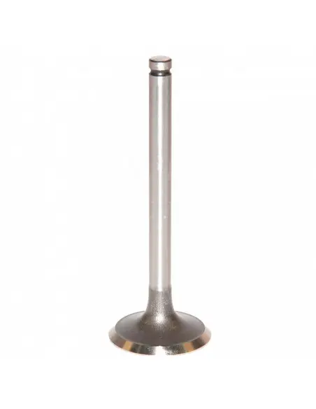 VÁLVULA DE ADMISIÓN