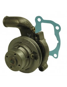 BOMBA DE AGUA DOBLE POLEA