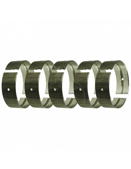 Juego de casquillos de bancada 0,020'' - 0,51 mm Ford, New Holland 81823483