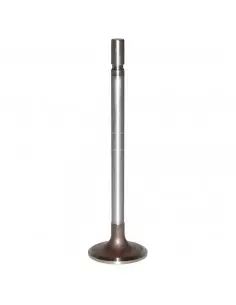 VÁLVULA DE ADMISIÓN Ø 43,8 x 9,5 mm - L 158,9 mm - 30°