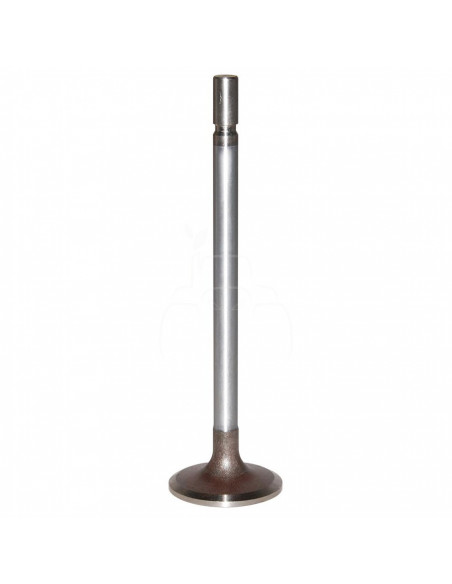 VÁLVULA DE ADMISIÓN Ø 43,8 x 9,5 mm - L 158,9 mm - 30°