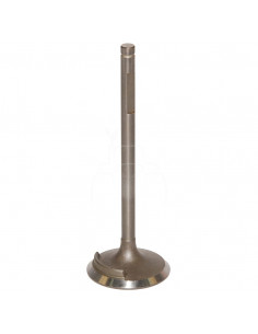 VÁLVULA DE ADMISIÓN Ø 40,8 x 8 mm - L 137,5 mm - 45°