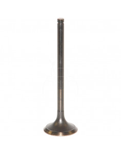 VÁLVULA DE ESCAPE Ø 40,8 x 8 mm - L 137,5 mm - 45°