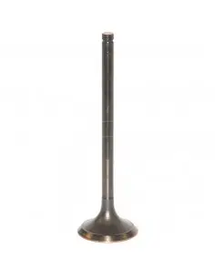 VÁLVULA DE ESCAPE Ø 40,8 x 8 mm - L 137,5 mm - 45°